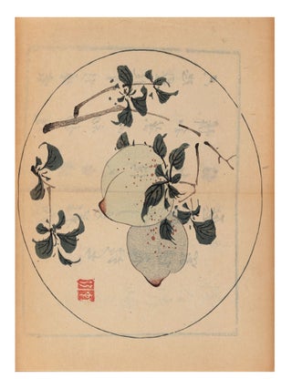 Shi zhu zhai shu hua pu 十竹齋書畫譜 [J.: Jūchikusai shoga. Zhengyan 胡正言 HU, ed.