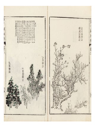 Jie zi yuan hua zhuan 芥子園畫傳 [Mustard Seed Garden Manual of Painting].