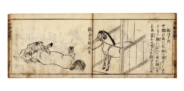 Item ID: 10234 Baryō benkai 馬療辨解 [Horse Medicine...