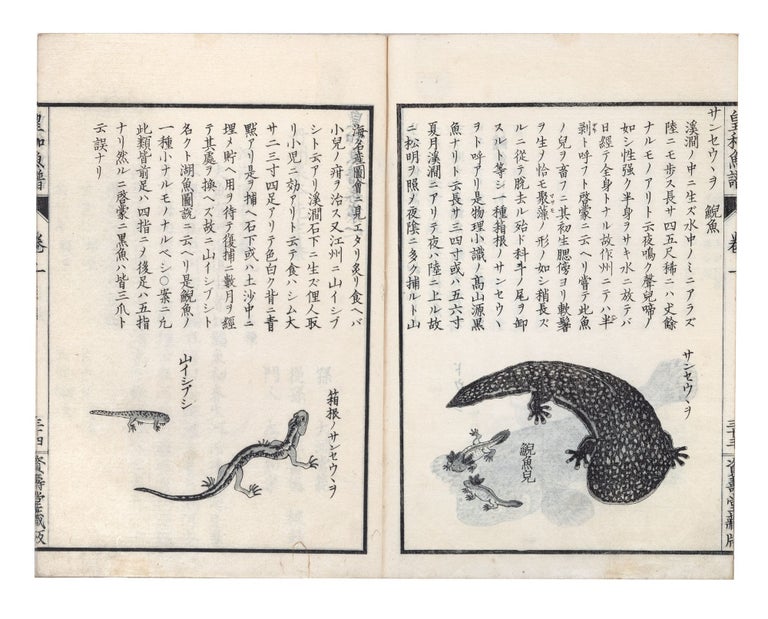 Item ID: 10355 Kōwa gyofu 皇和魚譜 [Catalogue of Fish from Our...
