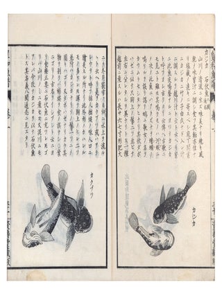 Kōwa gyofu 皇和魚譜 [Catalogue of Fish from Our August Japan].