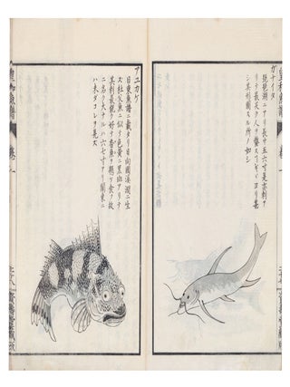 Kōwa gyofu 皇和魚譜 [Catalogue of Fish from Our August Japan].