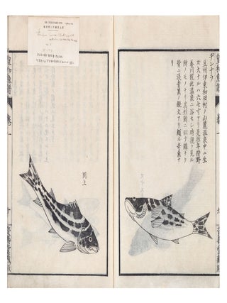 Kōwa gyofu 皇和魚譜 [Catalogue of Fish from Our August Japan].