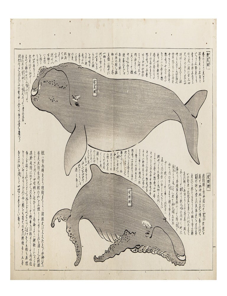 Item ID: 10540 Isanatori ekotoba 勇魚取繪詞 [Drawings and Discussions of Whaling]. Tomokiyo 小山田与清 OYAMADA.
