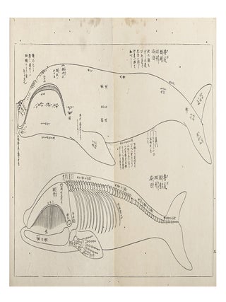 Isanatori ekotoba 勇魚取繪詞 [Drawings and Discussions of Whaling].