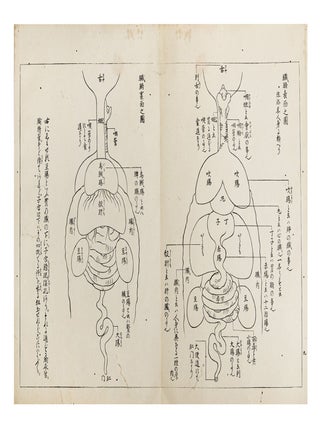 Isanatori ekotoba 勇魚取繪詞 [Drawings and Discussions of Whaling].