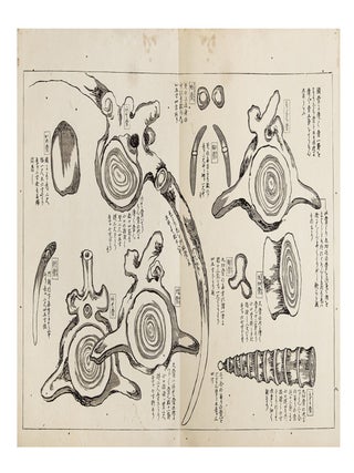Isanatori ekotoba 勇魚取繪詞 [Drawings and Discussions of Whaling].