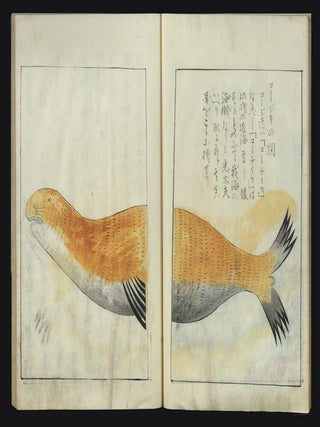 Finely written manuscript on paper, complete, entitled &ldquo;Kankai Ibun&rdquo; [&ldquo;Observation in Foreign Countries; the Story of the Travels of Four Shipwrecked Japanese, as told to Gentaku Otsuki&rdquo;].