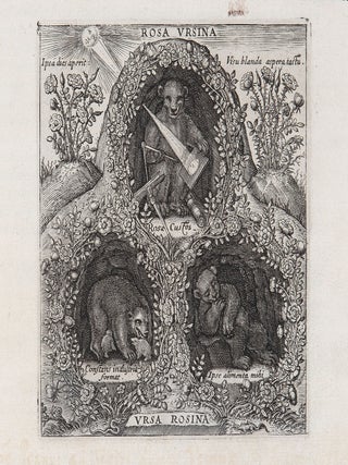 Rosa Ursina sive Sol ex Admirando Facularum & Macularum suarum Phoenomeno varius&hellip;Libris quatuor&hellip;
