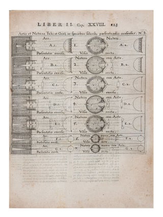 Rosa Ursina sive Sol ex Admirando Facularum & Macularum suarum Phoenomeno varius&hellip;Libris quatuor&hellip;