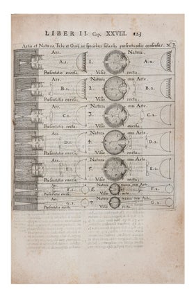 Rosa Ursina sive Sol ex Admirando Facularum & Macularum suarum Phoenomeno varius…Libris quatuor…