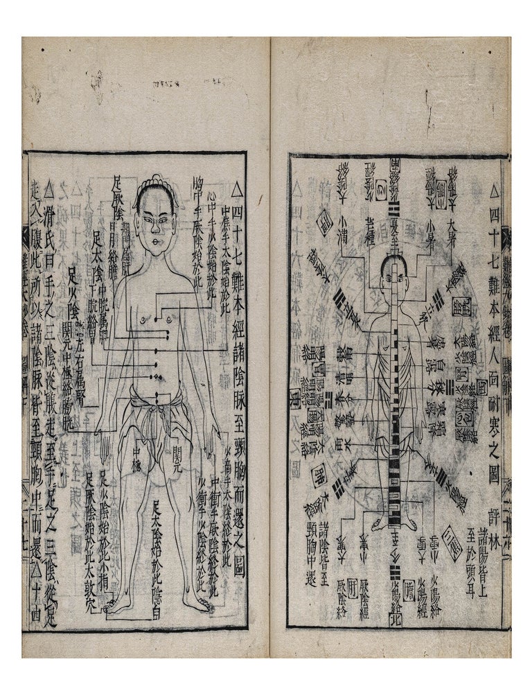 Item ID: 11184 Nangyō hongi taishō 難経本義大鈔 [Original Meaning of Nanjin, Explained]. Genkan 森本玄閑 MORIMOTO.