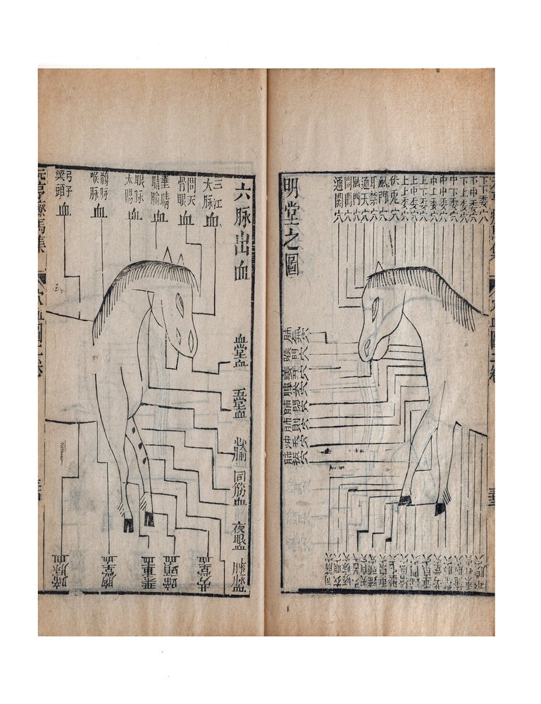 Item ID: 11530 Yuanheng liaoma ji fu niujing tuojing 元亨療馬集附牛經駝經 [Yuan and Heng&rsquo;s Collection for Treating Horse, Together with Scriptures on Ox & Camel]. Benyuan 喻本元 YU, Benheng 喻本亨 YU.