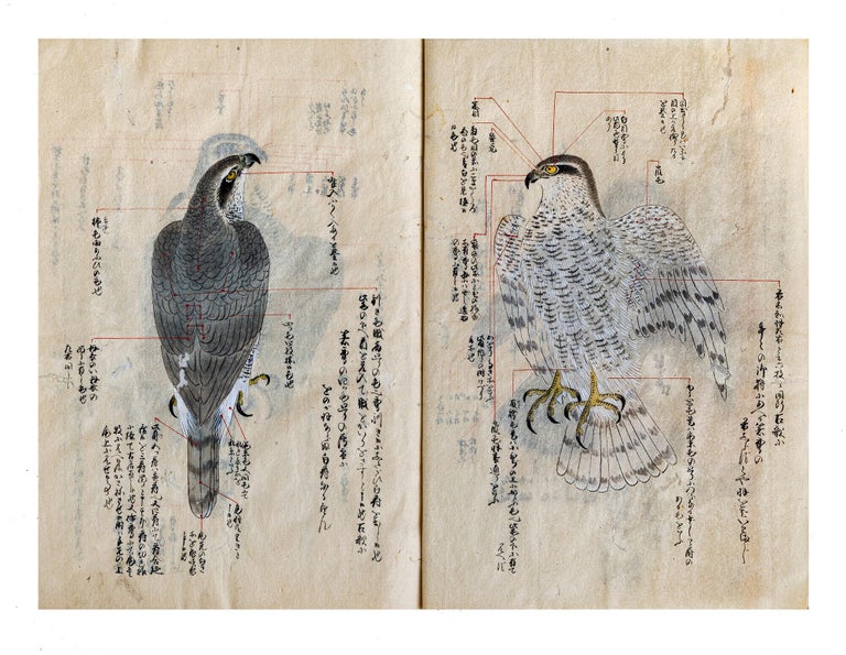 Item ID: 11548 Manuscript on paper, core title on manuscript labels on both upper covers:...