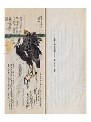 Manuscript on paper, core title on manuscript labels on both upper covers: &ldquo;Yoshida ryū yōhō&rdquo; 吉田流鷹法 [&ldquo;Yoshida School of Falconry&rdquo;]; text title in first vol.: &ldquo;Yōjutsu shiki sho kan no hachi yakuhō bu&rdquo; 鷹術四季書巻之八薬法部 [&ldquo;Falconry in Four Seasons. Part VIII. Medicine & Treatment&rdquo;]; text title in second vol.: &ldquo;Yōjutsu shiki sho hinagata no bu&rdquo; 鷹術四季書雛形之部 [&ldquo;Falconry in Four Seasons. The Way of Falconry, Illustrated&rdquo;].
