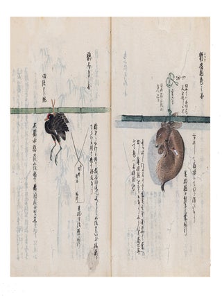 Manuscript on paper, core title on manuscript labels on both upper covers: &ldquo;Yoshida ryū yōhō&rdquo; 吉田流鷹法 [&ldquo;Yoshida School of Falconry&rdquo;]; text title in first vol.: &ldquo;Yōjutsu shiki sho kan no hachi yakuhō bu&rdquo; 鷹術四季書巻之八薬法部 [&ldquo;Falconry in Four Seasons. Part VIII. Medicine & Treatment&rdquo;]; text title in second vol.: &ldquo;Yōjutsu shiki sho hinagata no bu&rdquo; 鷹術四季書雛形之部 [&ldquo;Falconry in Four Seasons. The Way of Falconry, Illustrated&rdquo;].