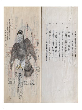 Manuscript on paper, core title on manuscript labels on both upper covers: &ldquo;Yoshida ryū yōhō&rdquo; 吉田流鷹法 [&ldquo;Yoshida School of Falconry&rdquo;]; text title in first vol.: &ldquo;Yōjutsu shiki sho kan no hachi yakuhō bu&rdquo; 鷹術四季書巻之八薬法部 [&ldquo;Falconry in Four Seasons. Part VIII. Medicine & Treatment&rdquo;]; text title in second vol.: &ldquo;Yōjutsu shiki sho hinagata no bu&rdquo; 鷹術四季書雛形之部 [&ldquo;Falconry in Four Seasons. The Way of Falconry, Illustrated&rdquo;].
