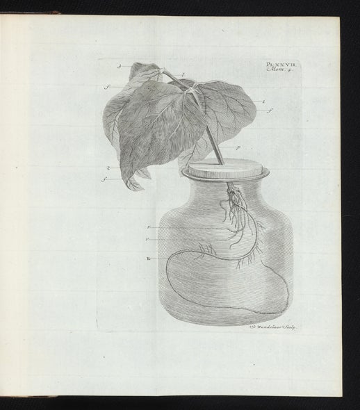 Item ID: 2871 Recherches sur l'Usage des Feuilles dans les Plantes, et sur quelques autres Sujets relatifs a l'Histoire de la Vegetation. Charles BONNET.