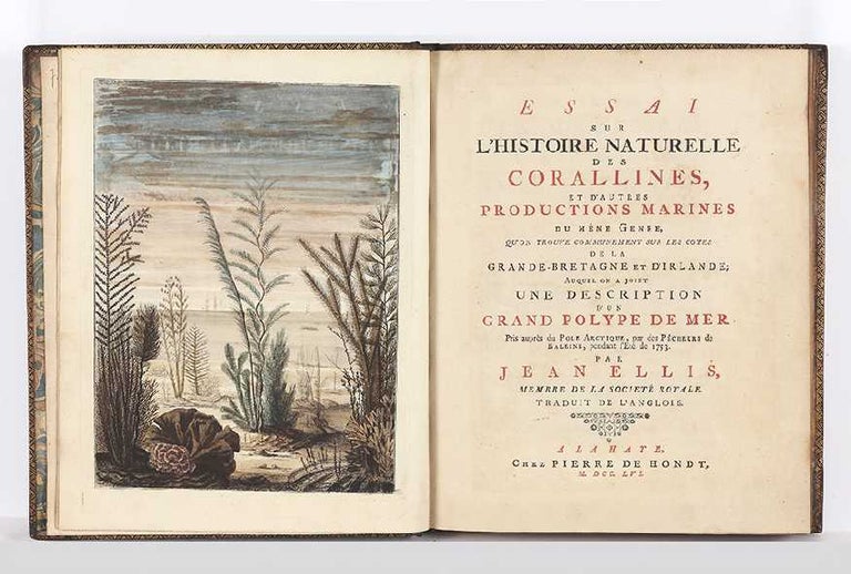Item ID: 5251 Essai sur l'Histoire naturelle des Corallines, et d'autres Productions marines de...