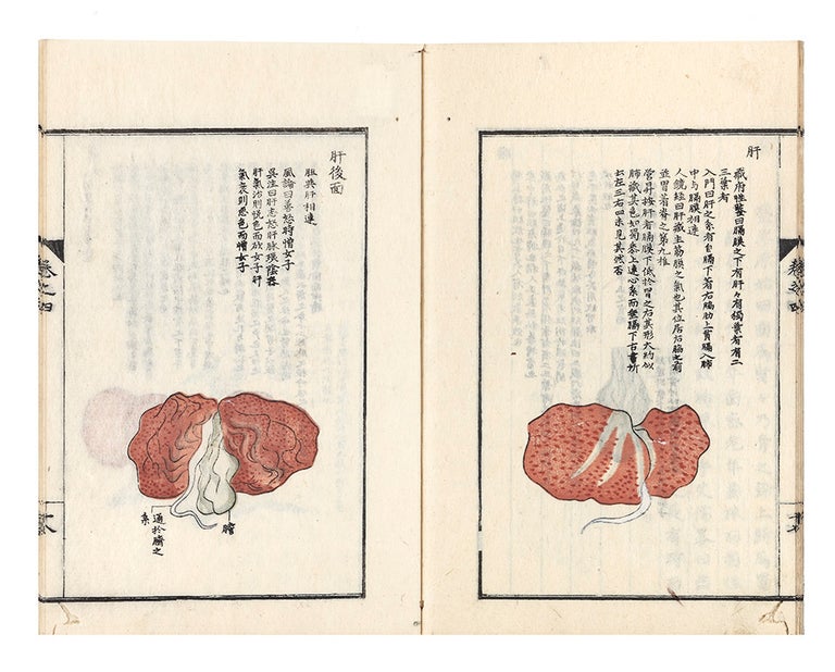Item ID: 6006 Jing xue zuan yao [trans. in Japanese: Keiketsu san’yo; trans.: Chinese & Japanese Acupuncture explained]. Eisho KOSAKA, or Gen’yu.