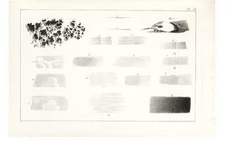 The Art of Drawing on Stone, giving a full explanation of the Various Styles, of the different methods to be employed to ensure Success, and of the Modes of Correcting, as well as of the Several Causes of failure.