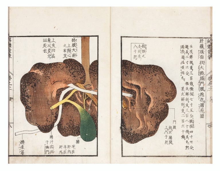 Item ID: 6417 Kaitai hatsumo 解體發蒙 [trans: Explanation of Human Anatomy]. Soshu 三谷笙洲 MITANI.