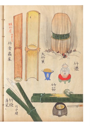 A fine and beautiful album concerned with various genera of bamboo, how to draw them calligraphically & by painting, the extraction of medicines from them, and how to render & situate the bamboo in a series of complex paintings. Our manuscript, written in Chinese characters but with references to Japanese names of the bamboo, has three titles on the first leaf: “Chikuho higa sho” [“Collection of Secret Methods of Drawing Bamboo”], “Chikuga hiden sho” [“Pictures of Bamboo using a Collection of Secret Methods here passed on”], & “Chikuho hichu sho” [“List of Secret Information about Bamboo”].