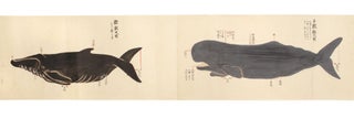 Manuscript scroll on paper entitled “Kujirakata shosha zue” [“Genuine copied. Wakayama Prefecture WHALING SCROLL, Taiji.