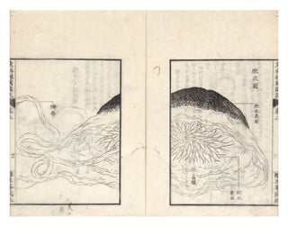 Sanka tangan zuketsu 産科探頷圖訣 [Obstetrical Insights, Sansetsu 水原濟卿 MIZUHARA.
