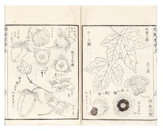 Menpo yōmu 綿圃要務 [The Essentials of Cotton Cultivation. Nagatsune 大蔵永常 ŌKURA.