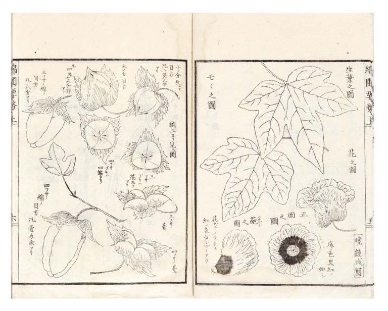 Item ID: 6884 Menpo yōmu 綿圃要務 [The Essentials of Cotton Cultivation]. Nagatsune 大蔵永常 ŌKURA.