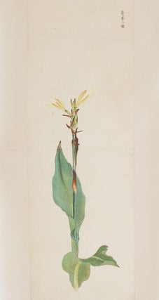 Very fine large scroll on high quality paper with 14 extremely beautiful paintings of plants and animals.
