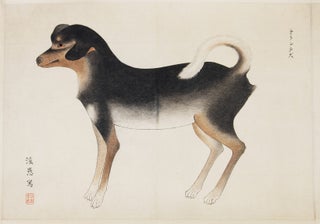 Very fine large scroll on high quality paper with 14 extremely beautiful paintings of plants and animals.