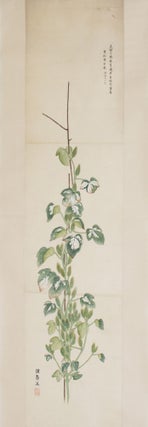Very fine large scroll on high quality paper with 14 extremely beautiful paintings of plants and animals.
