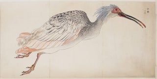 Very fine large scroll on high quality paper with 14 extremely beautiful paintings of plants and animals.
