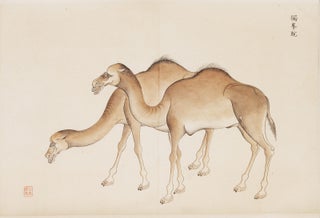 Very fine large scroll on high quality paper with 14 extremely beautiful paintings of plants and animals.