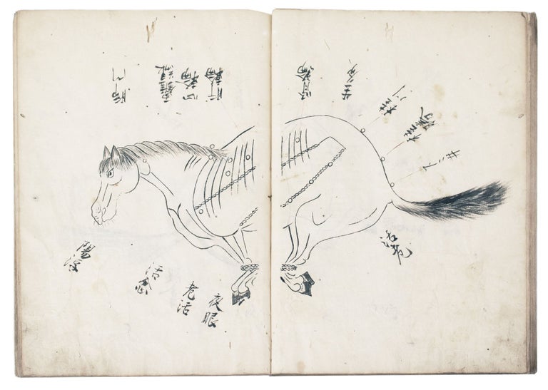 Item ID: 6987 Manuscript on paper, entitled on upper cover in manuscript “Uma tsukaikata. Gozo ron hiso” [“For the Horse Doctors: Theory of the Five Organs. Secret Information Written”]. EQUINE MEDICINE.
