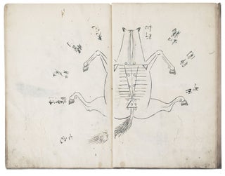 Manuscript on paper, entitled on upper cover in manuscript “Uma tsukaikata. Gozo ron hiso” [“For the Horse Doctors: Theory of the Five Organs. Secret Information Written”].
