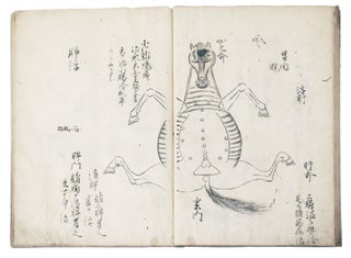 Manuscript on paper, entitled on upper cover in manuscript “Uma tsukaikata. Gozo ron hiso” [“For the Horse Doctors: Theory of the Five Organs. Secret Information Written”].