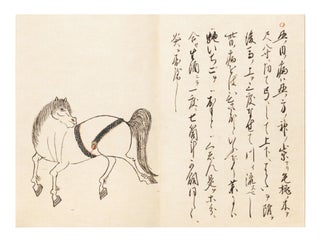 Manuscripts on paper, all concerned with equine medicine, all finely written in one hand on stiff paper.