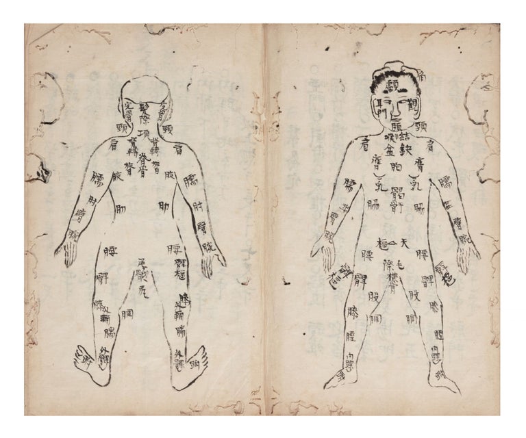 Item ID: 7073 Manuscript on paper, entitled on the label of the upper cover “Kyuketsu tekiyo” [“Acupuncture Pressure Points, Suitable & Precise Usage”]. ACUPUNCTURE MANUAL.