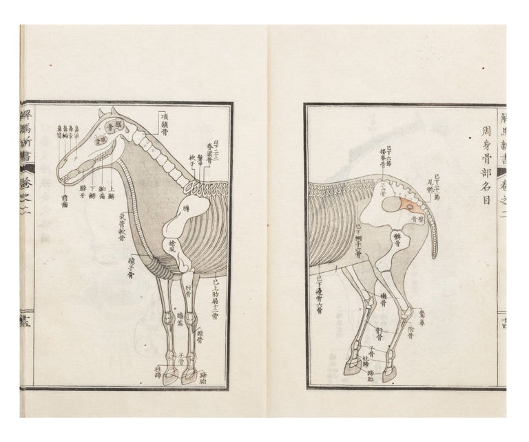 Item ID: 7327 Kaiba shinsho [New Book on the Anatomy of the Horse]. Tosui KIKUCHI