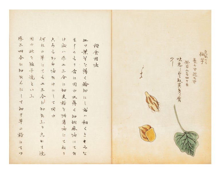 Item ID: 8295 Illustrated manuscript on paper, entitled “Hansho [or Bansho] kai” [“Ryukyu...