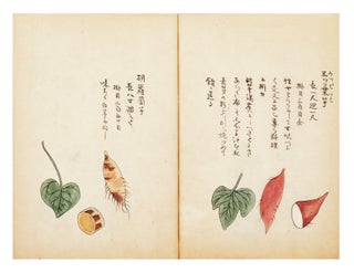 Illustrated manuscript on paper, entitled “Hansho [or Bansho] kai” [“Ryukyu Potatoes Explained”].