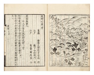 Akino nanakusa ko [Thoughts about Seven Herbs in Autumn. KITANO, Kikuu, or Shuho.
