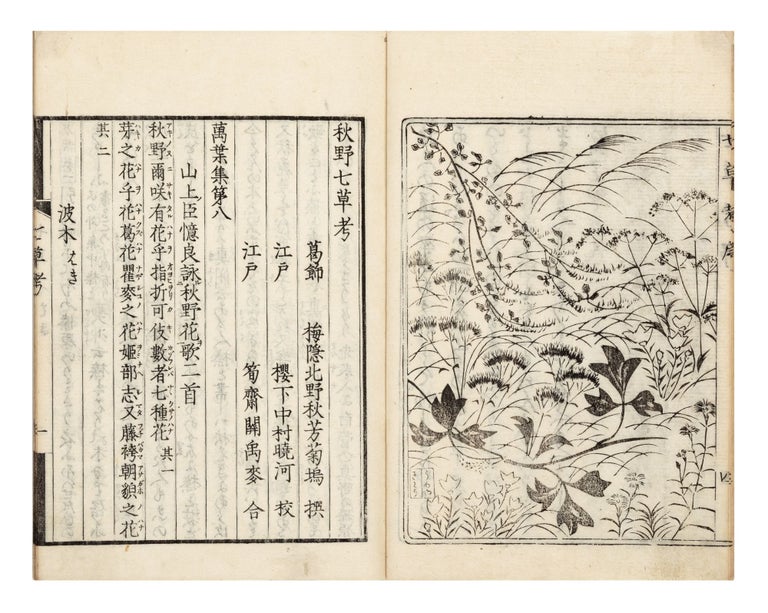 Item ID: 8333 Akino nanakusa ko [Thoughts about Seven Herbs in Autumn]. KITANO, Kikuu, or Shuho