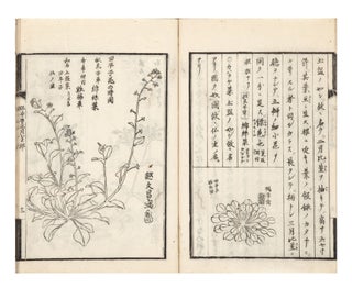 Akino nanakusa ko [Thoughts about Seven Herbs in Autumn].