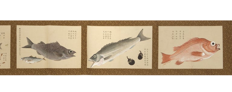 Item ID: 8810 Illustrated scroll on paper, with six well-executed paintings, each measuring 203 x 288 mm., of edible fish & herbs. JAPANESE MATERIA MEDICA.