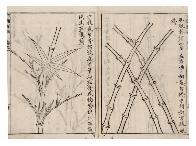 Item ID: 8828 Chikufu shoroku [C.: Zhupu xiang lu; Detailed Treatise on Bamboo Painting]. Kan LI.
