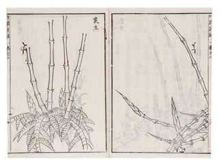 Chikufu shoroku [C.: Zhupu xiang lu; Detailed Treatise on Bamboo Painting].